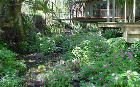 Treetops Montville